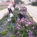 Ініціативні містяни креативно оформлять клумбу на Садовому бульварі (сюжет)